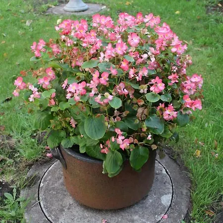 アパート Im Winkel Krummhörn