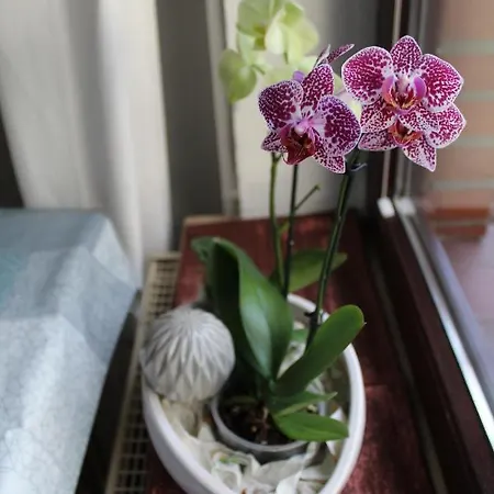 Im Winkel Apartamento Krummhörn