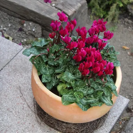 Im Winkel * Krummhörn