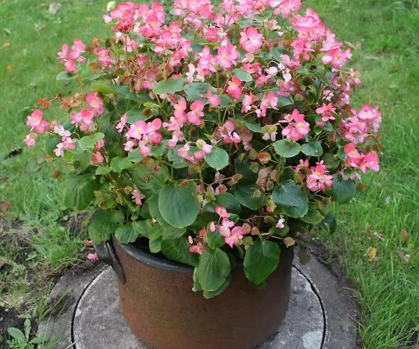 Lejlighed Im Winkel Krummhörn