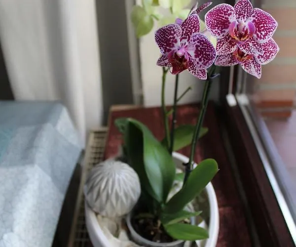 Im Winkel Lejlighed Krummhörn