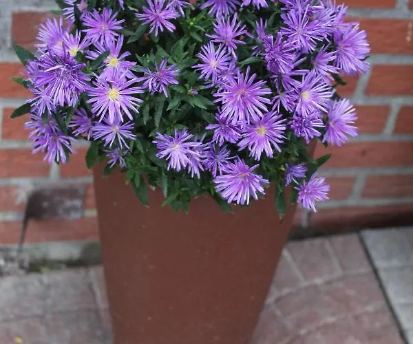 Im Winkel Lejlighed *