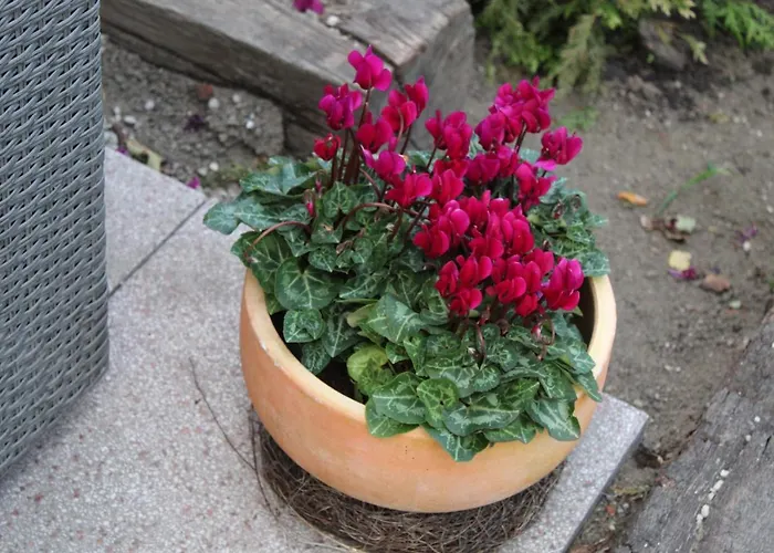 Im Winkel * Krummhörn